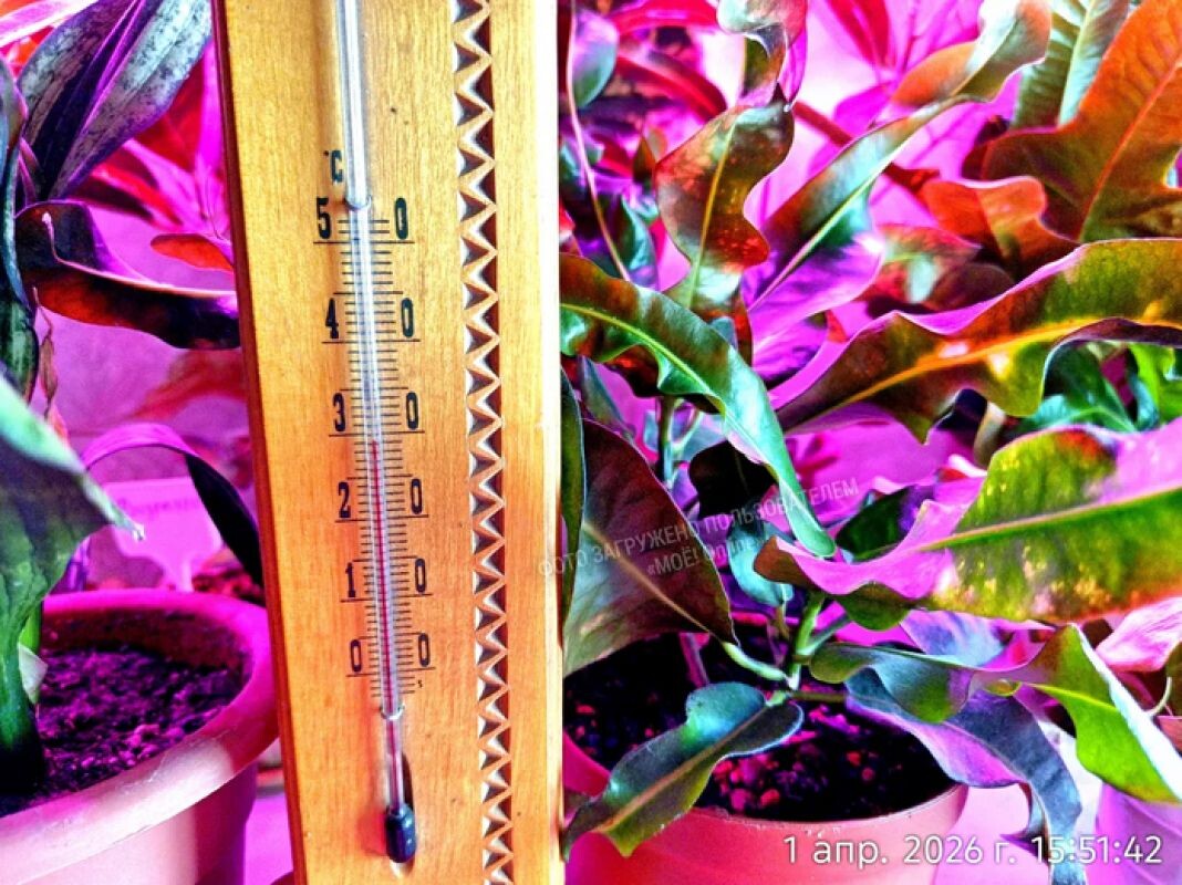 Фото: читатель «МОЁ!»