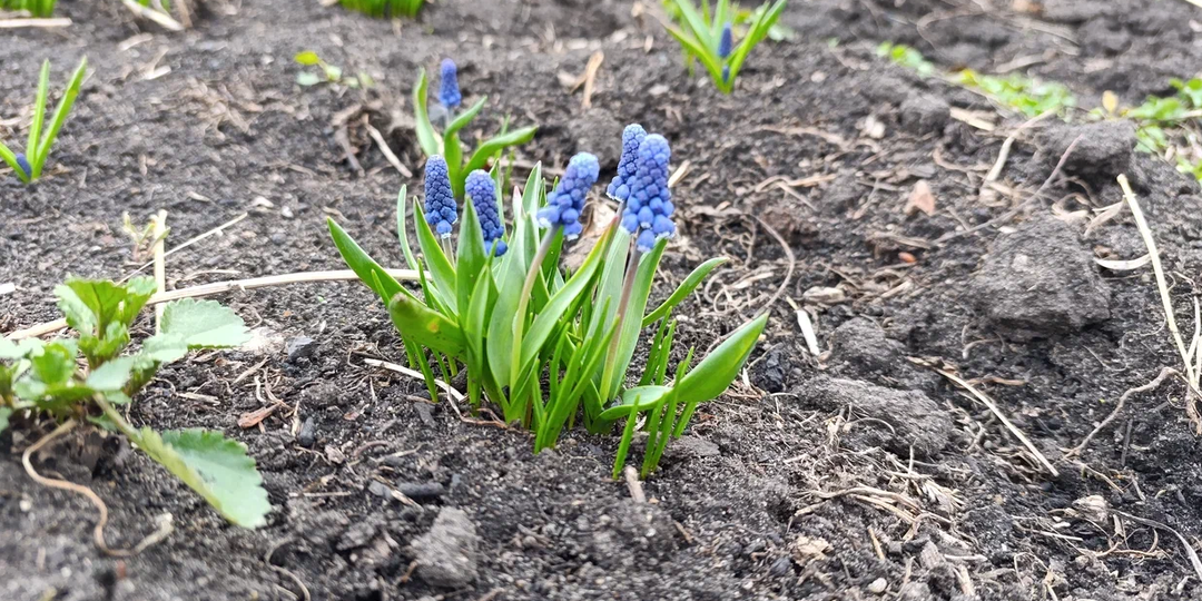 Заниматься своим делом
