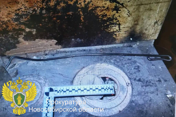 Телеграм-канал прокуратуры Новосибирской области  📷