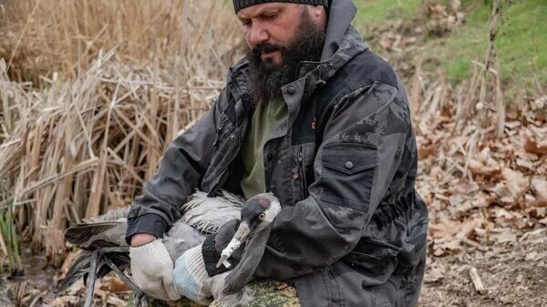    © Telegram Михаил Развожаев