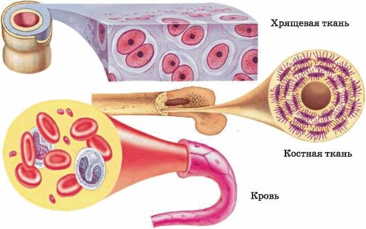 фото из открытого источника