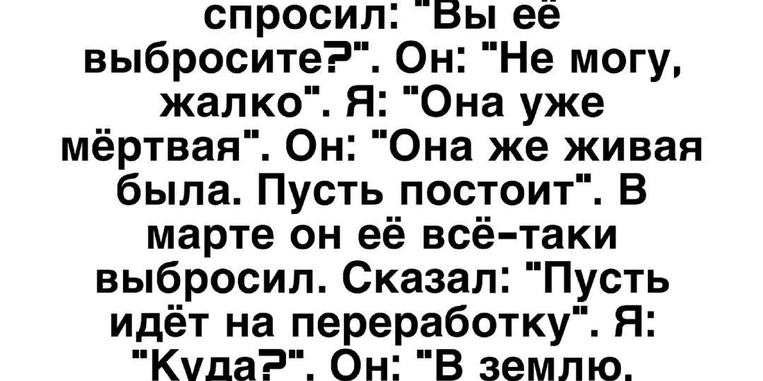 13 веселых историй из реальной жизни