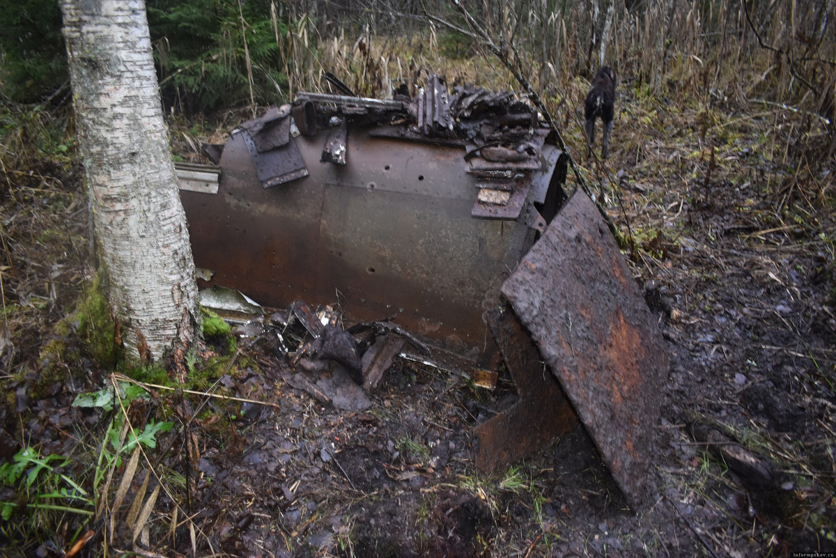 Обломки советского самолёта обнаружили поисковики в Гдовском районе. Ноябрь 2024 года. Фото из группы поискового отряда «Неизвестный солдат» в соцсети «ВКонтакте»