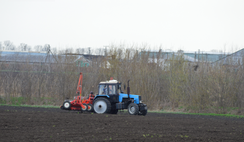 Фото автора. 29.03.2026. Сев сахарной свеклы в агрофирме.