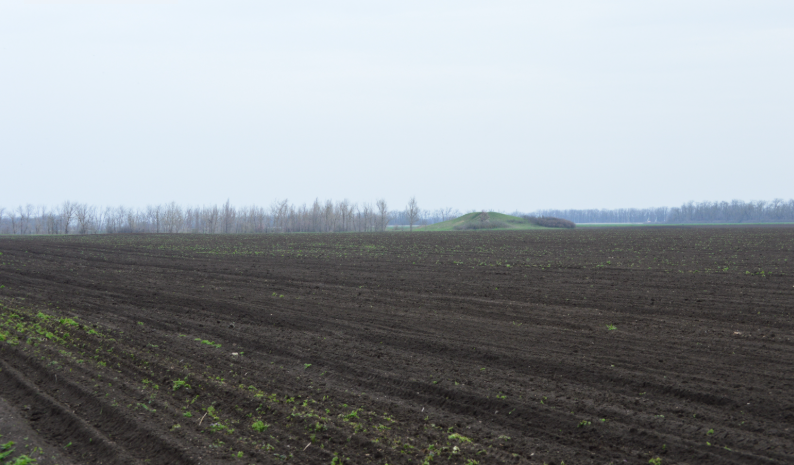 Фото автора. 29.03.2026. При посевах, главное, качественно подготовить землю.