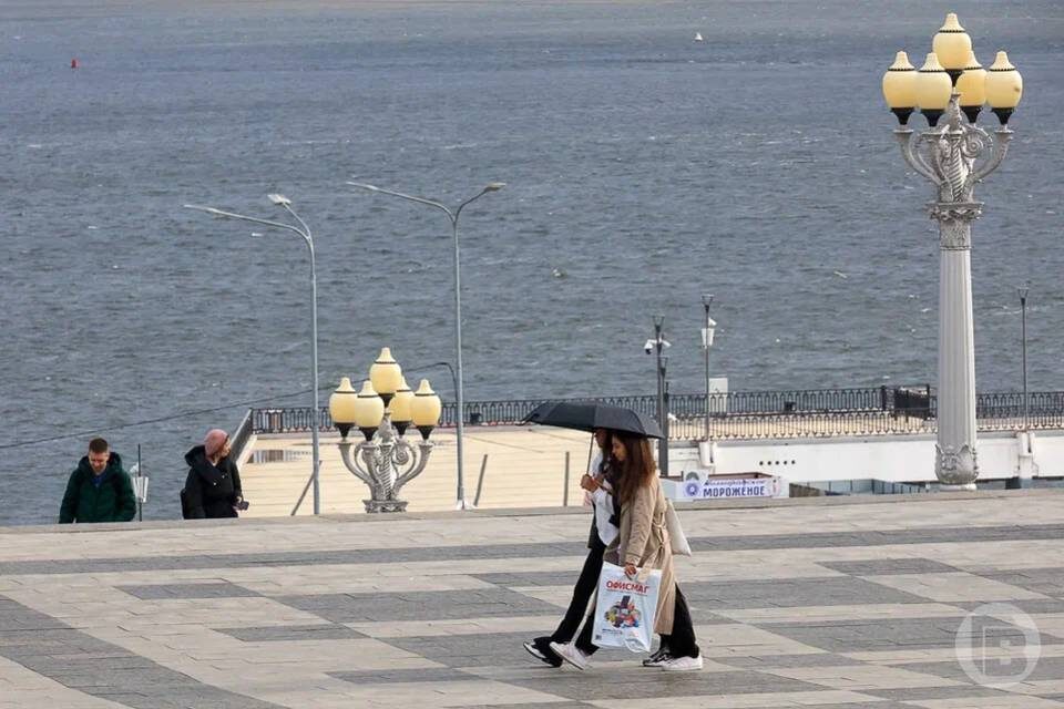    Фото: Дмитрий Рогулин / "Городские вести"