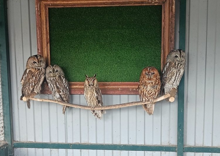 Фото: тг-канал Игоря Корпункова