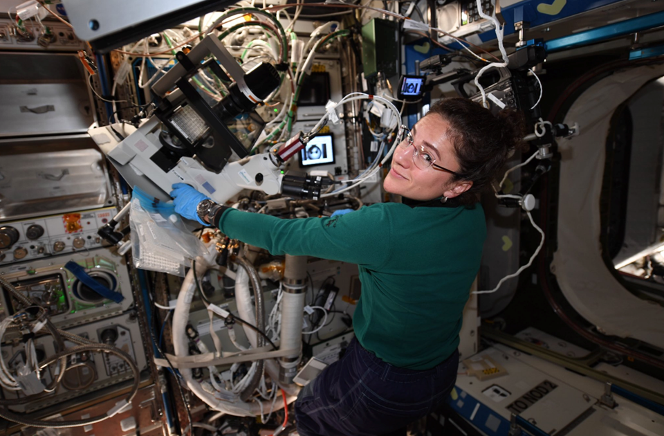 Джессика Меир работает с оборудование биотехнологической стойки. Фото: NASA