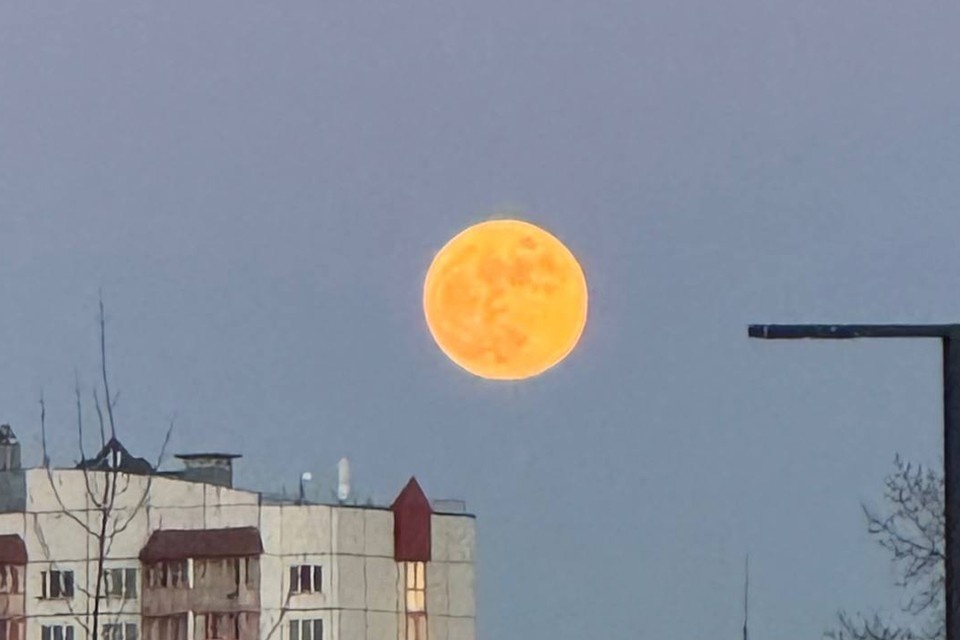    Над Петербургом заметили большую оранжевую луну. Алексей ПОСНИКОВ