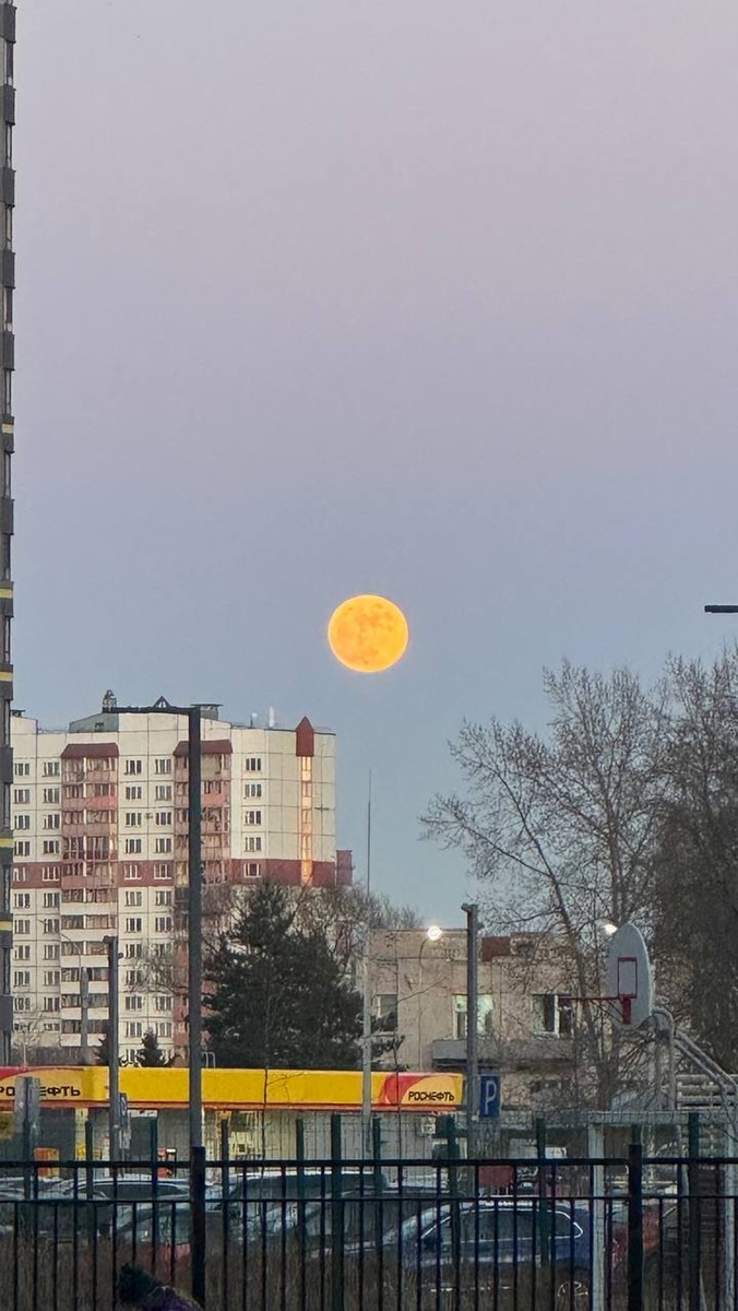    Читатели "КП-Петербург" поделились красивыми фото. Алексей ПОСНИКОВ