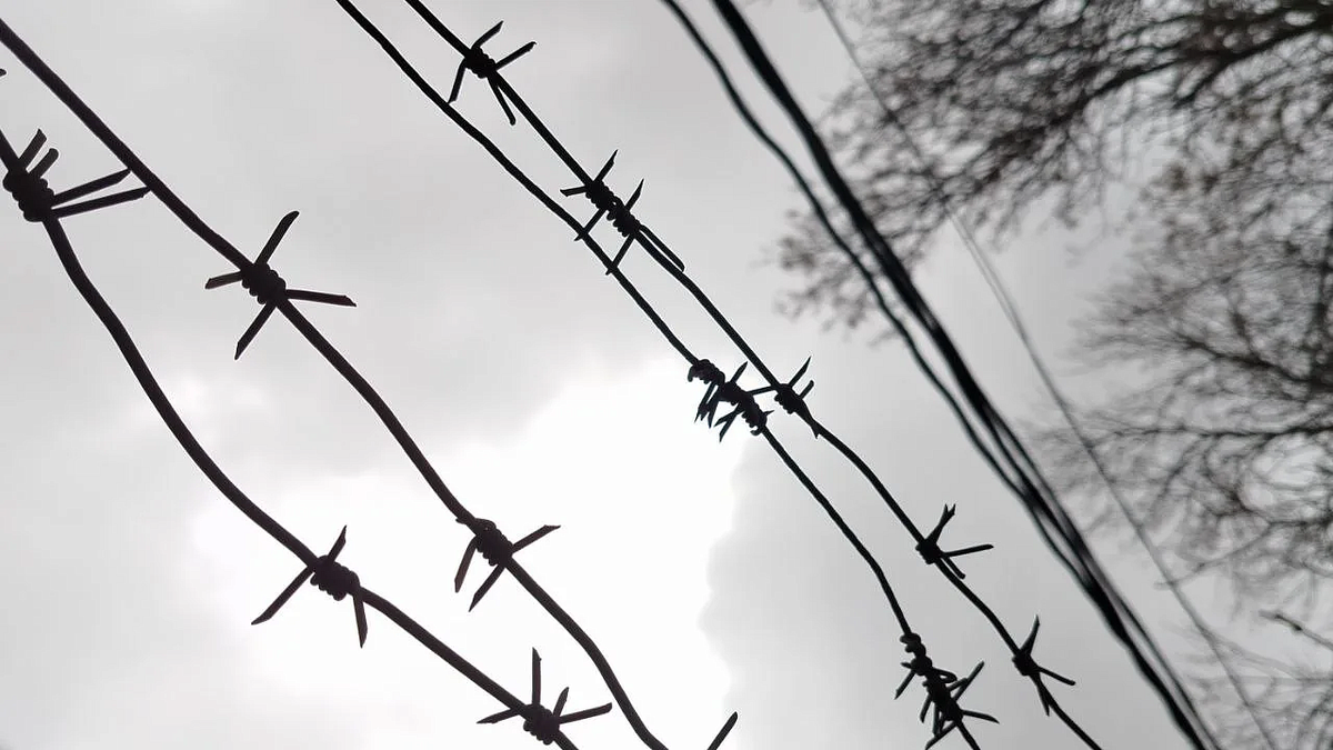    Фото: телеканал «Краснодар»