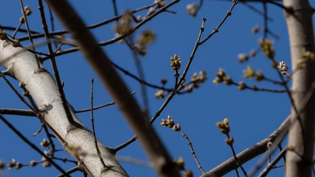 Фото: REGIONS/Роман Малышенко