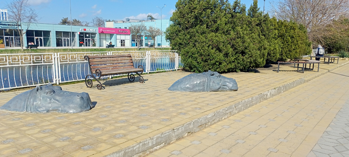 Бегемоты на берегу реки Анапки