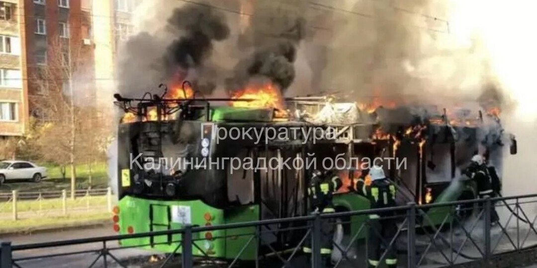 В Калининграде временно сняли с маршрута троллейбусы "Транс-Альфа" после пожара