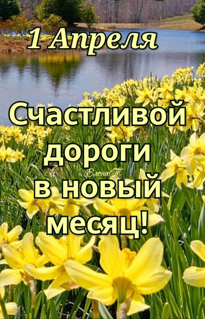 Картинка из сети Интернет. Авторство сохранено.  