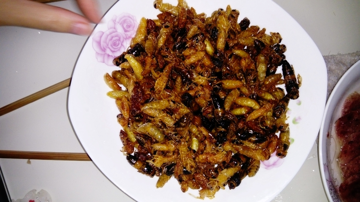 Жаренные личинки ос. Я должна была съесть одну штучку...