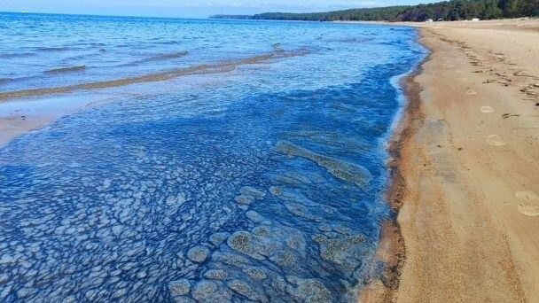     Источник: Telegram-канал «BL Сосновый Бор»