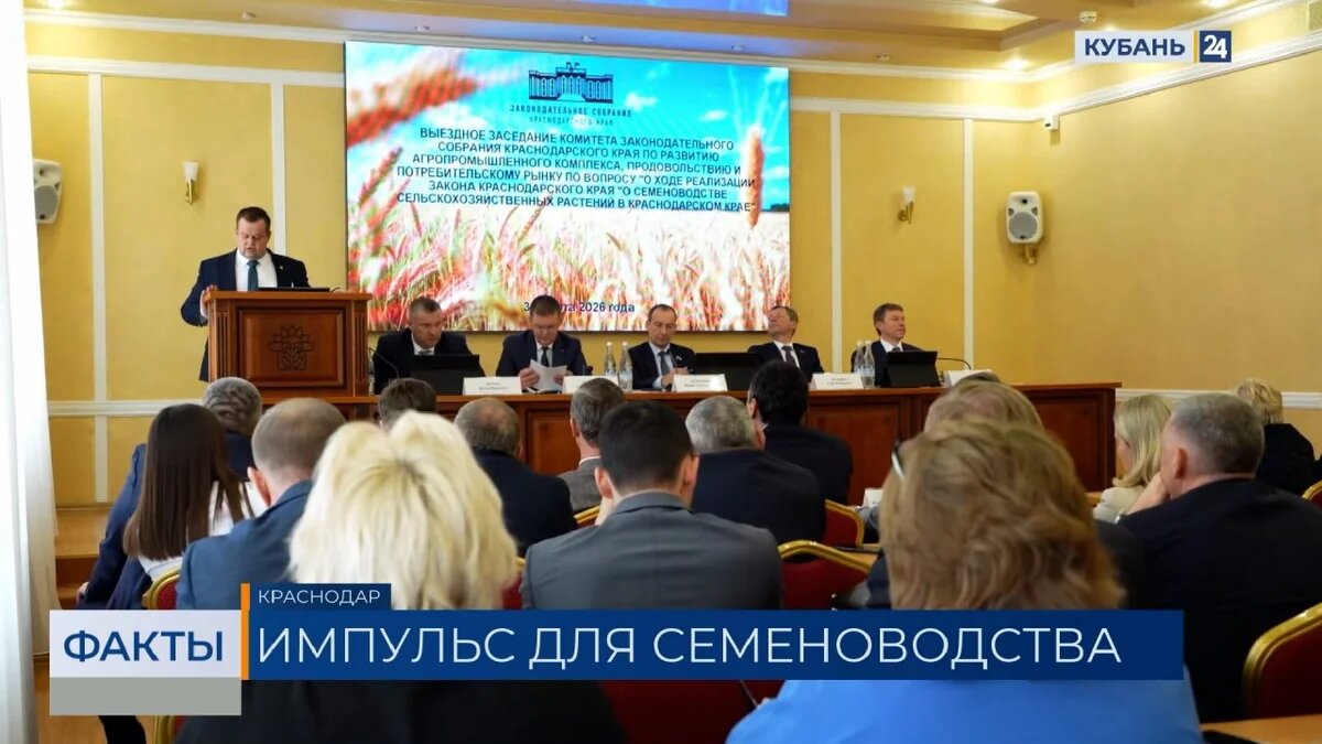    Скриншот видео телеканала «Кубань 24»