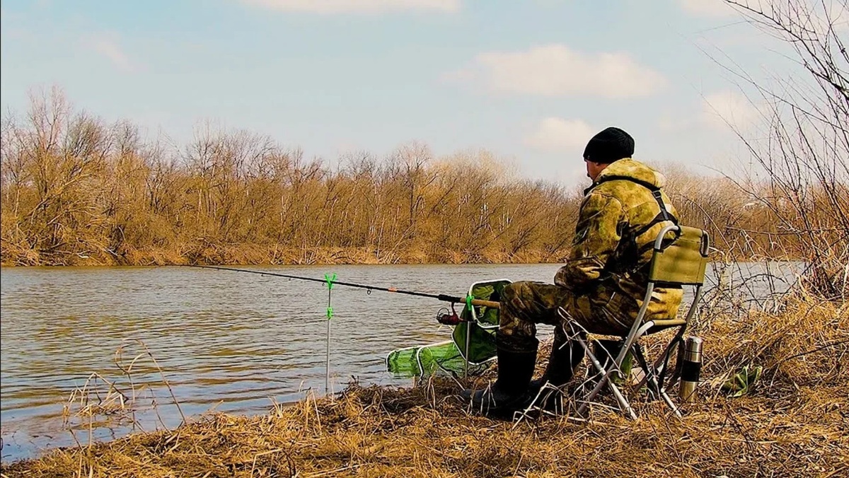   Фото: кадр YouTube