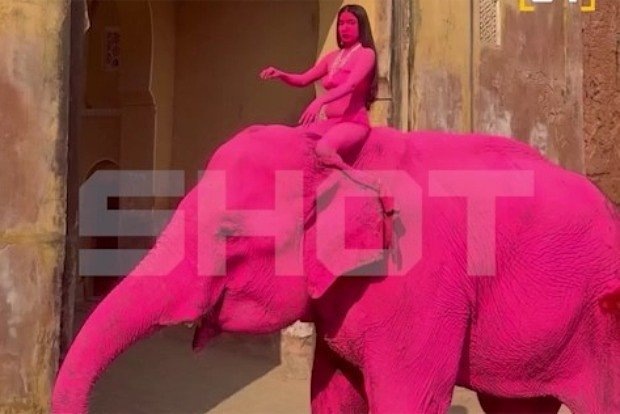    Кадр: Telegram-канал SHOT