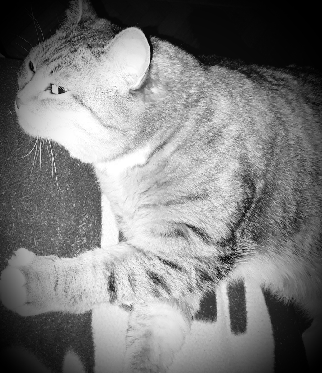 Фото автора 01.04.2026.