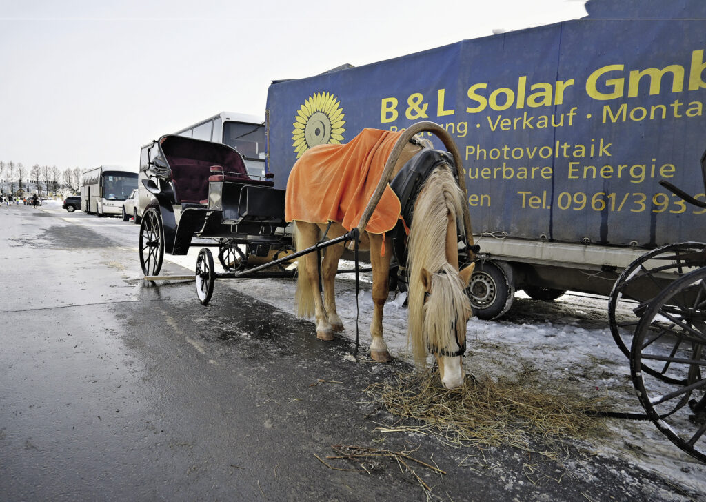 В перерывах между съемками отдыхают не только актеры.