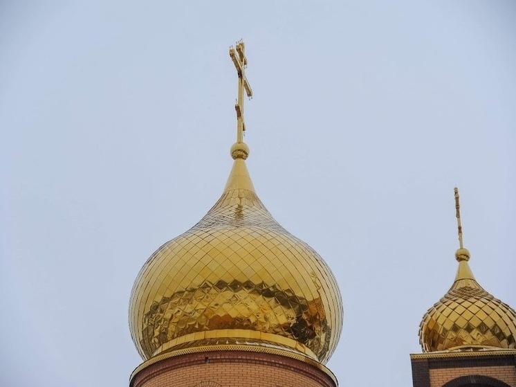     © Фото: ИД «Волгоградская правда» / архив
