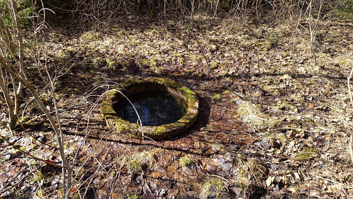 Старинный родник