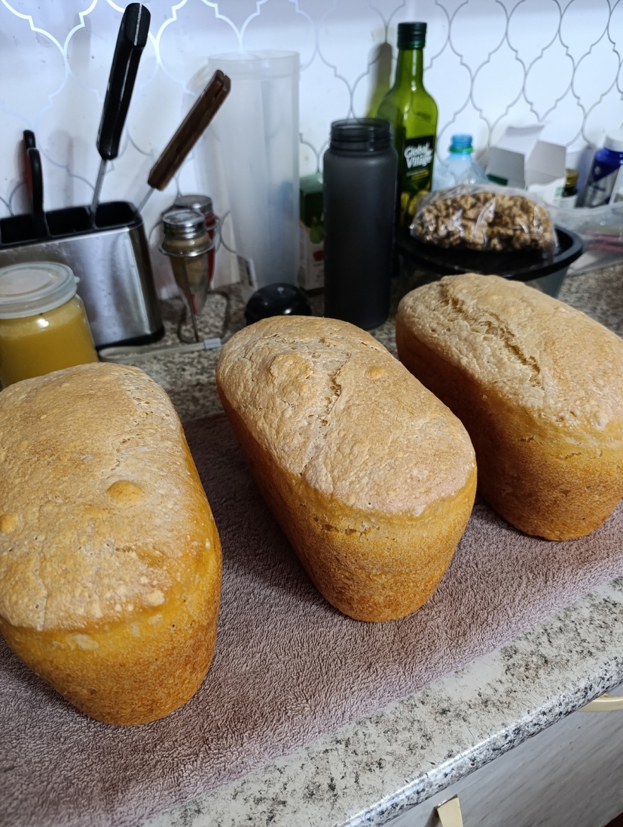     "Икмәкте әсәйем кеүек бешерәм"