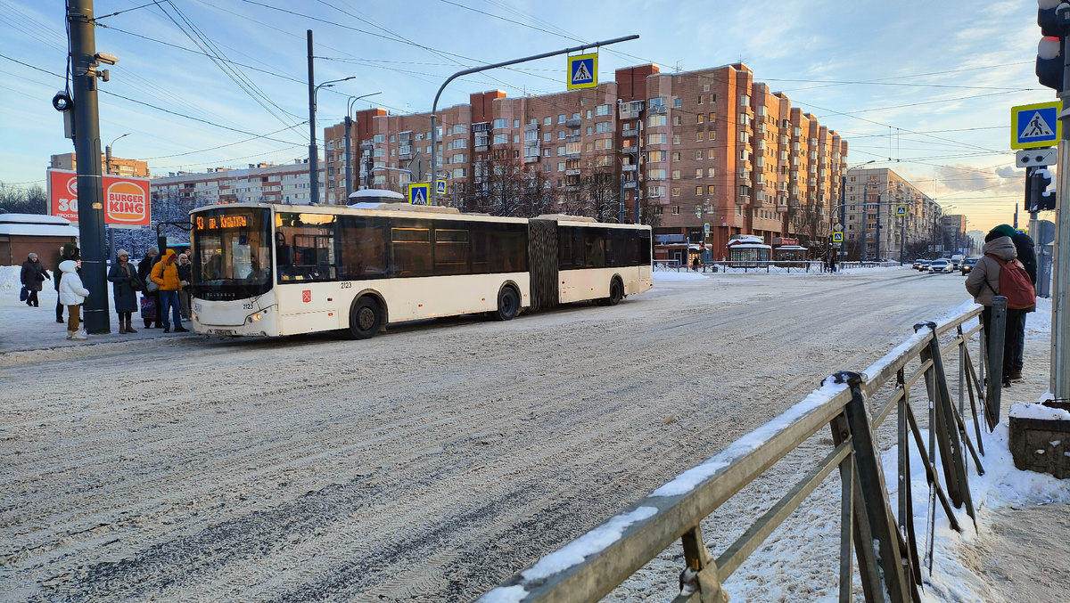 г. Санкт-Петербург, просп. Просвещения, автобус Volgabus-6271.00, маршрут № 93