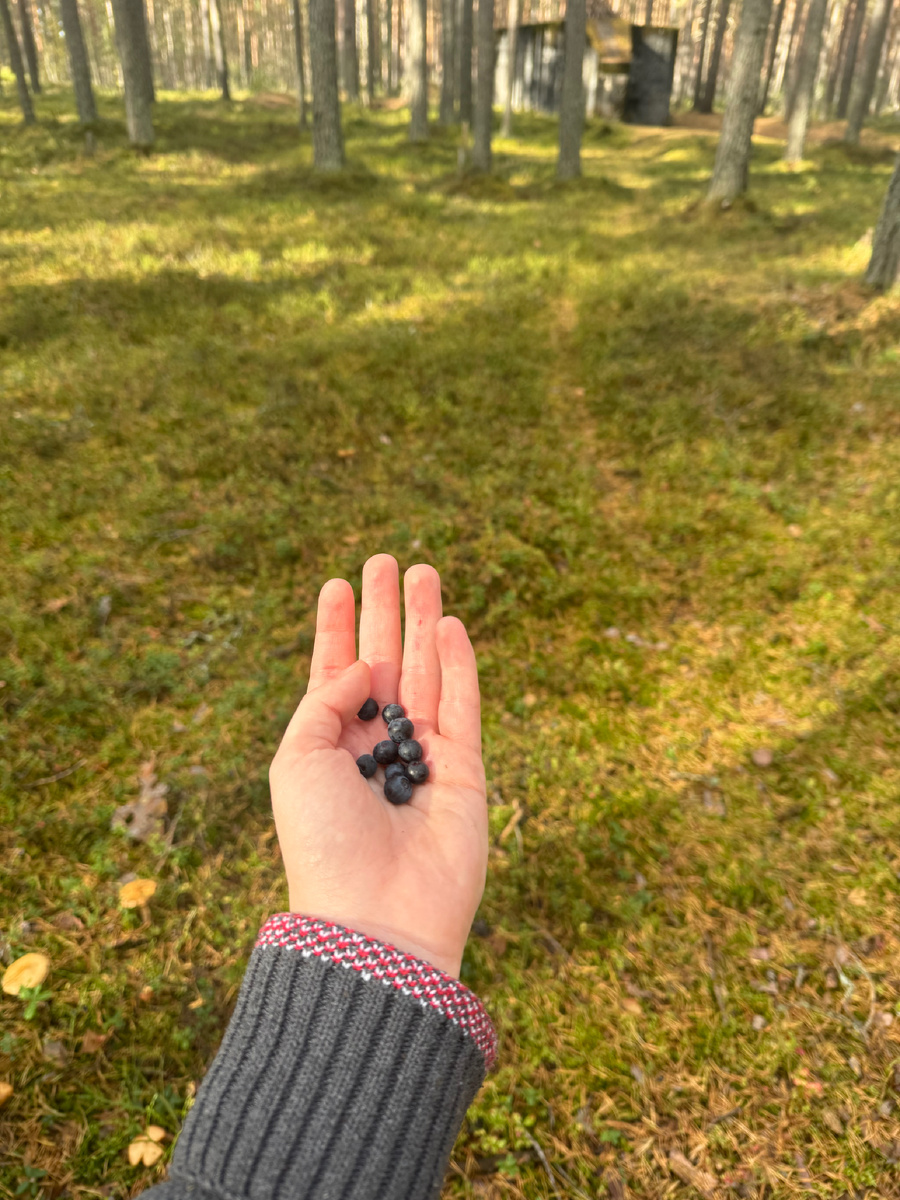 Ягода неизвестного мне происхождения 