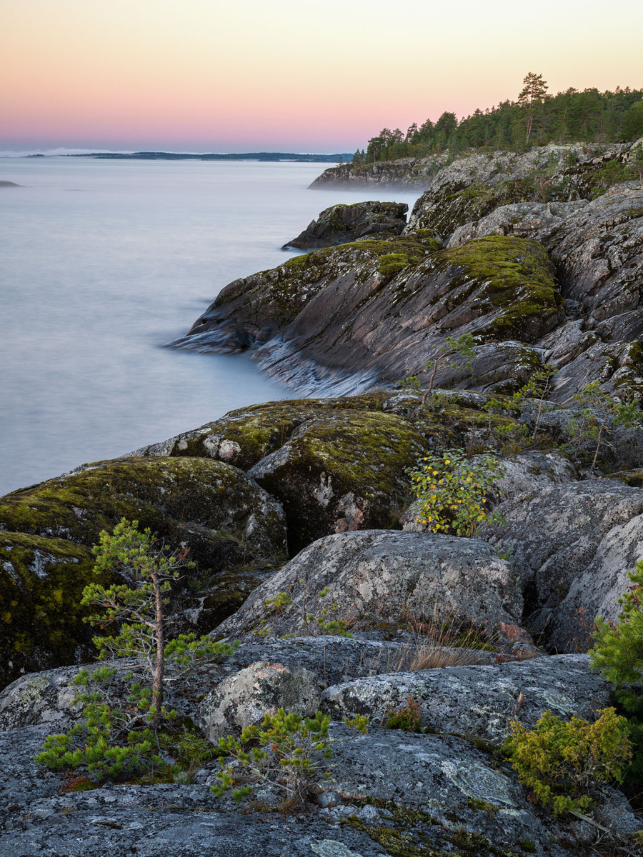 Утренний вид на ладожский берег.