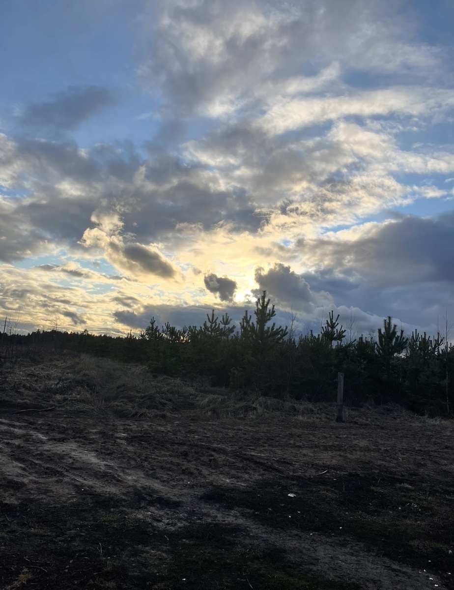 Личное фото