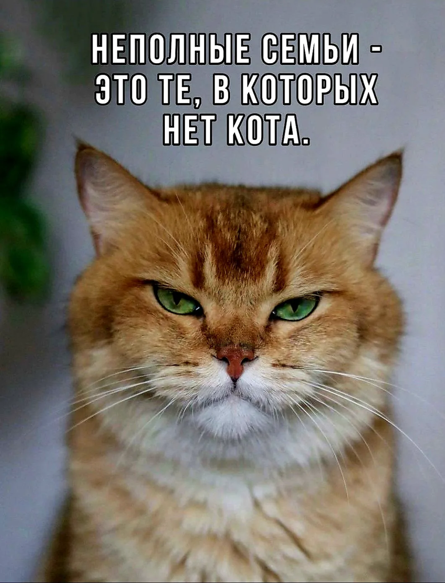 Источник фото найден на просторах Интернета в открытом доступе