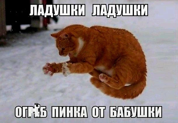 Источник фото найден на просторах Интернета в открытом доступе