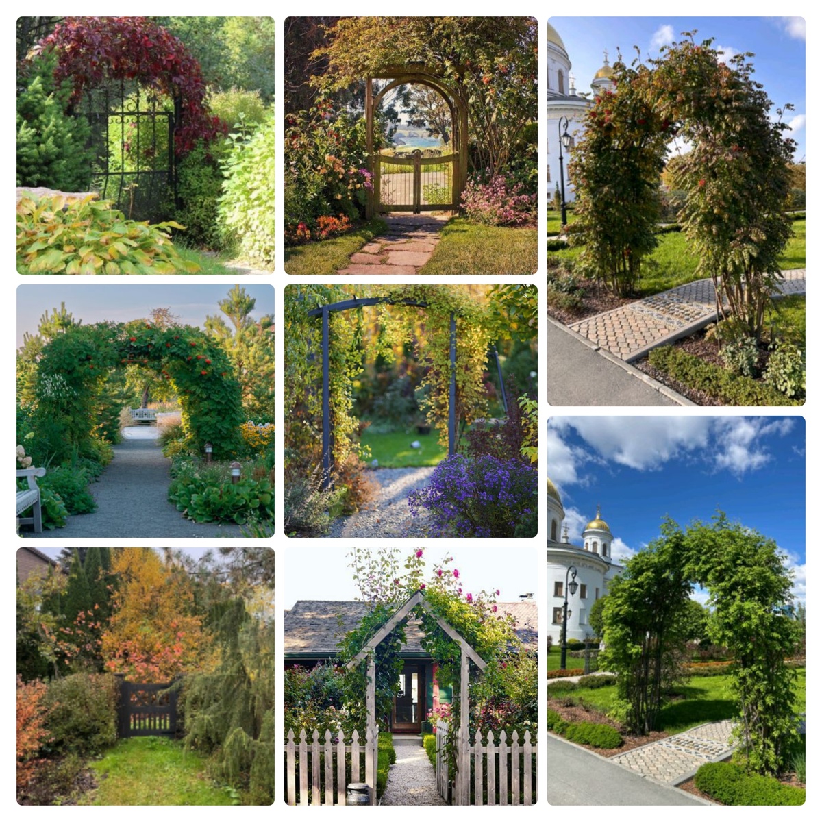 Коллаж автора из сохраненных фото. Слева - та самая арка из статьи о монастыре в разное время. А центральное верхнее фото - то самое, что натолкнуло на мысль связать рябину и вход на участок. Кстати, вероятно, нижнее центральное фото послужит прообразом первого входа на огород, а среднее левое фото - для второго входа (там планирую перголу с актинидией).