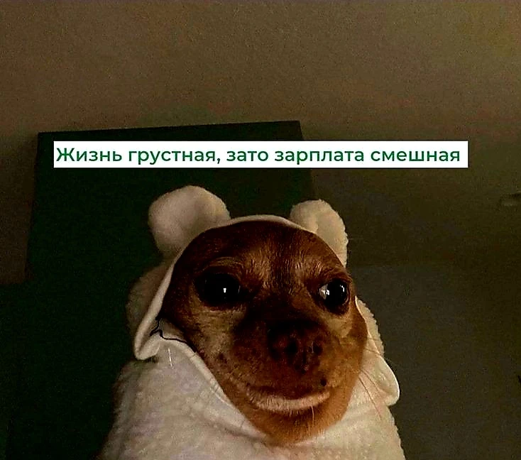 Источник фото найден на просторах Интернета в открытом доступе