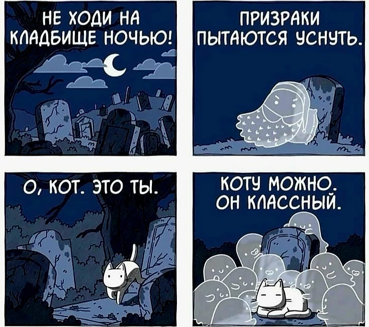 Источник фото найден на просторах Интернета в открытом доступе