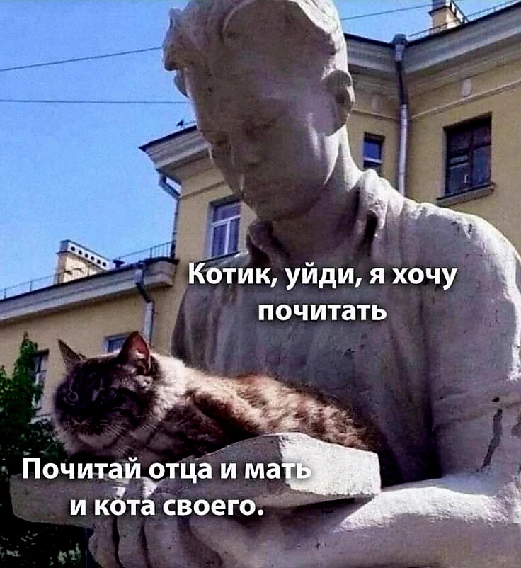 Источник фото найден на просторах Интернета в открытом доступе