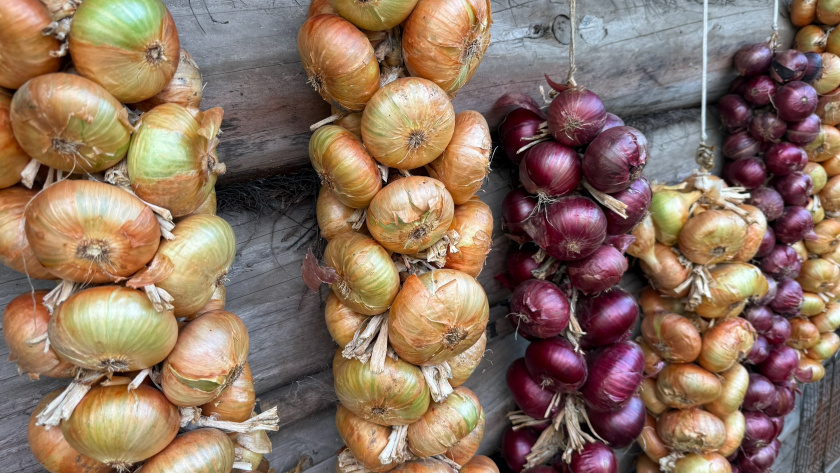    Фото: ПроГород