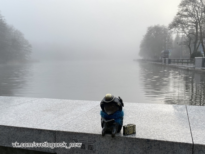 Светлогорск, озеро Тихое, 01.04.2026