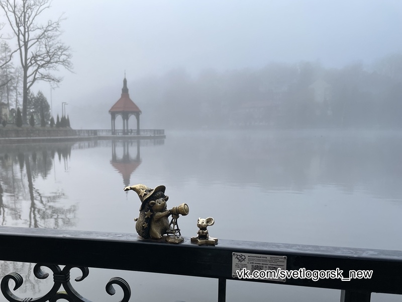 Светлогорск, озеро Тихое, 01.04.2026