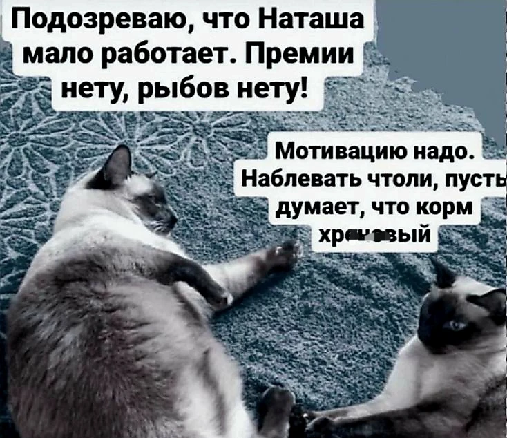 Источник фото найден на просторах Интернета в открытом доступе