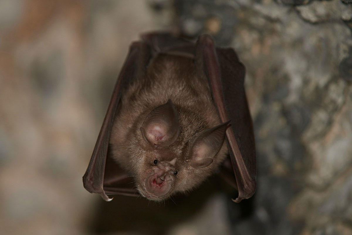    Фото: Nils Bouillard / Unsplash.com