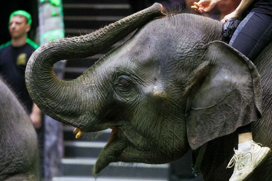    Наталья Шатохина/NEWS.ru