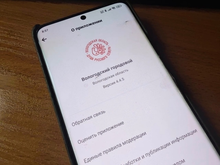     фото: мк в вологде