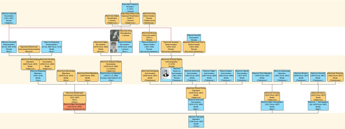 Образец родословного древа