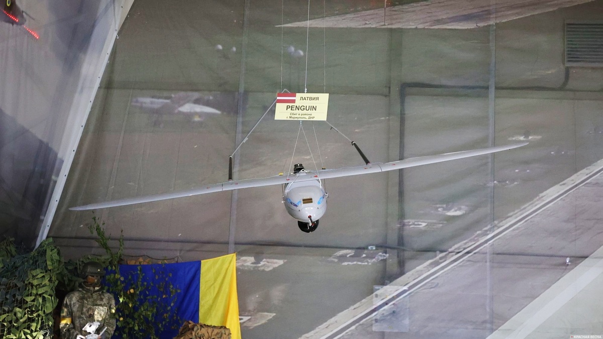     Латышские дроны   
Андрей Лыткин (с) ИА Красная Весна