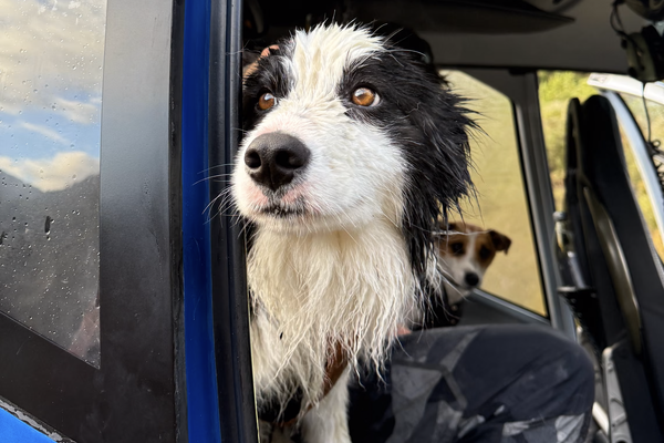 Precision Helicopters   📷