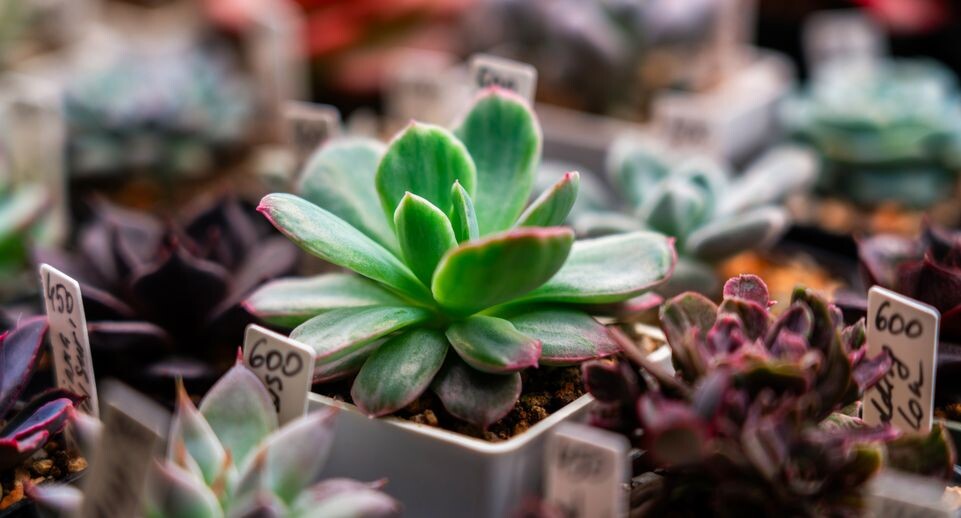    Медиасток.рф